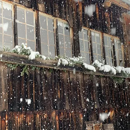 Evelyn's Hütte Сasa de vacaciones Dalaas